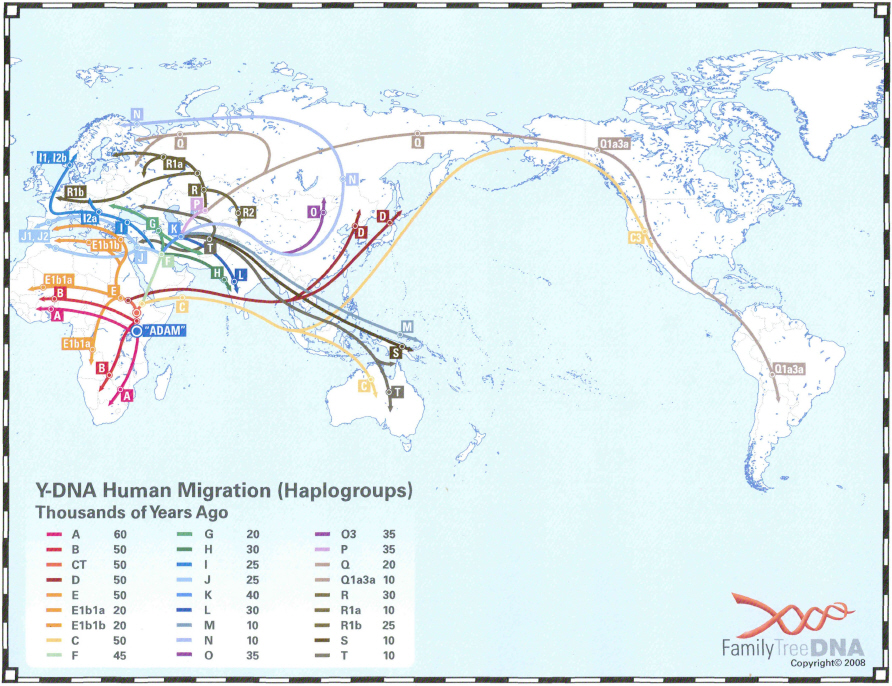 Haplogroup Migration Map
